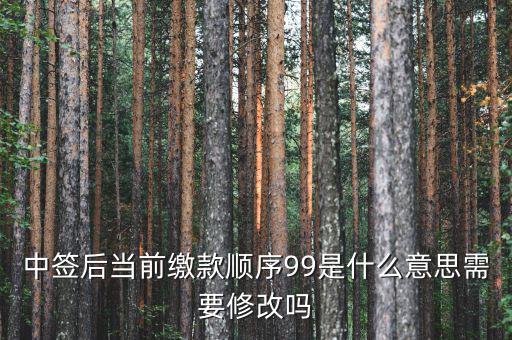 繳款順序99是什么意思，99是什么意思