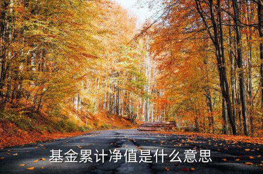 基金累計(jì)凈值是什么意思，基金凈值累計(jì)凈值各指什么