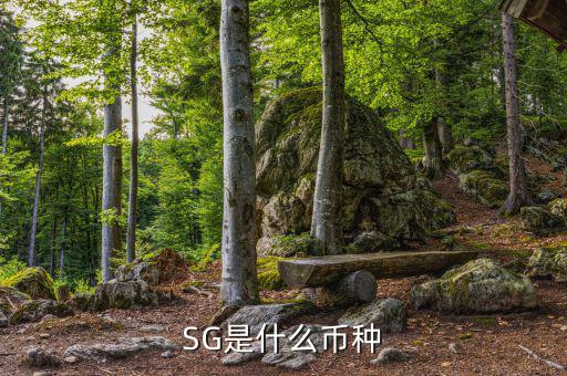 sgd是什么幣種，SG是什么幣種