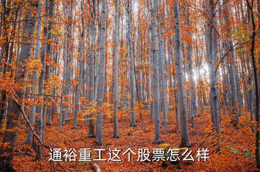 通裕重工是什么板塊，通裕重工這個(gè)股票怎么樣