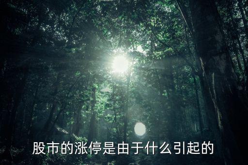 股票漲停跟什么有關(guān)系，股票開盤就漲停受什么因素影響能否具體回答