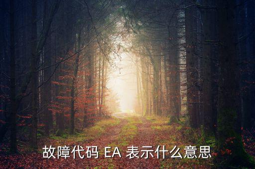 華泰ea什么意思，故障代碼 EA 表示什么意思
