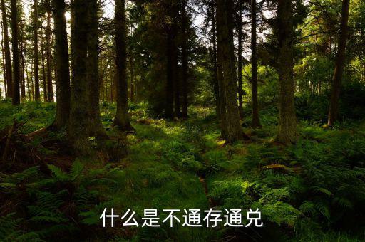 不通存通兌是什么意思，什么是不通存通兌
