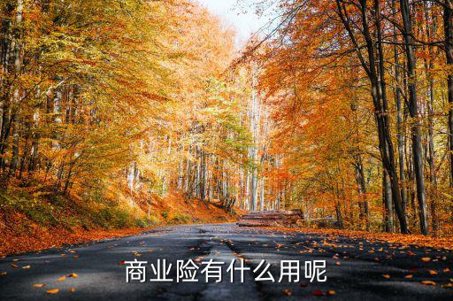 交商業(yè)保險有什么用，商業(yè)險有什么用呢