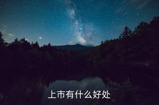 上市有什么好處，上市公司有什么好處
