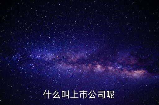 什么是上市公司，什么是上市公司