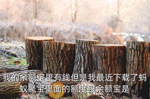 有什么軟件像存金寶那樣的，類似支付寶的理財產(chǎn)品有哪些