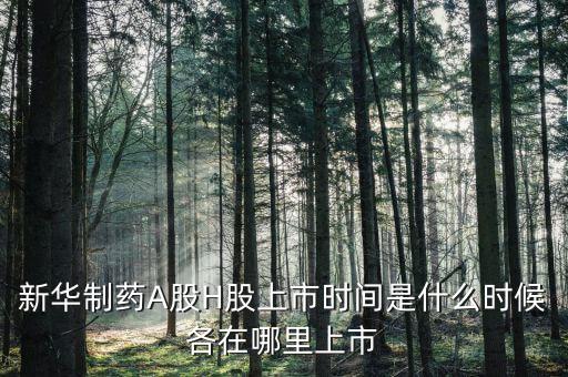 新華醫(yī)藥是什么股票，600587新華醫(yī)療2560買的最后1個交易日終究解套并小贏了請問接下來