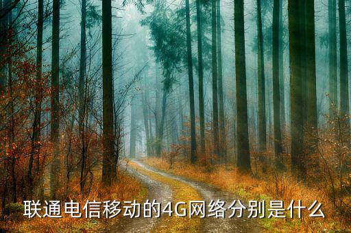 聯(lián)通混合組網(wǎng)什么意思，為什么我的聯(lián)通卡顯示H是什么意思