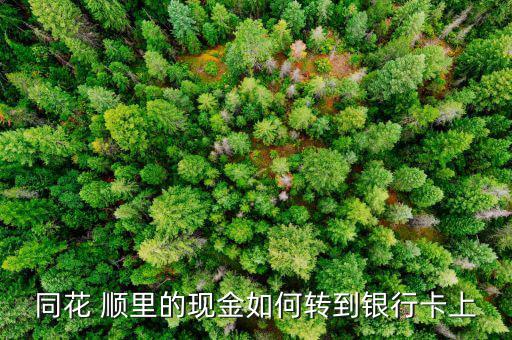 同花 順里的現金如何轉到銀行卡上