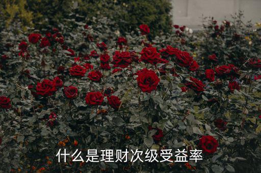 次級收益是什么，什么是理財次級受益率