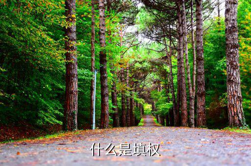 什么是填權(quán)和除權(quán)，除權(quán)和填權(quán)是什么意思說的通俗點不要復(fù)制別人的
