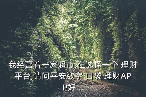 我經(jīng)營著一家超市,在選擇一個(gè) 理財(cái)平臺,請問平安數(shù)字 口袋 理財(cái)APP好...