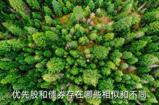 境外優(yōu)先股是什么，優(yōu)先股試點(diǎn)是什么說的詳細(xì)點(diǎn)
