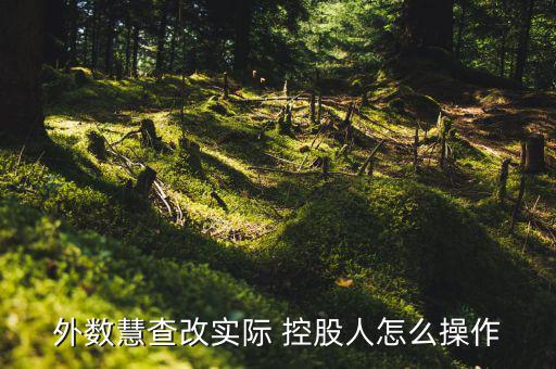 外數慧查改實際 控股人怎么操作