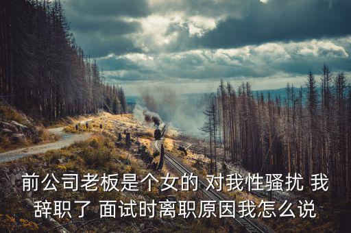李維金為什么辭職，前公司老板是個女的 對我性騷擾 我辭職了 面試時離職原因我怎么說