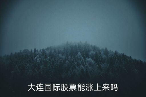 大連國際什么時候漲，大連國際股票能漲上來嗎