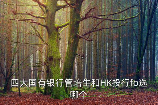 四大去投行有什么優(yōu)勢，女 研究生畢業(yè)想進投行 考研想考北大 清華 復旦或者香港大學 請問這四
