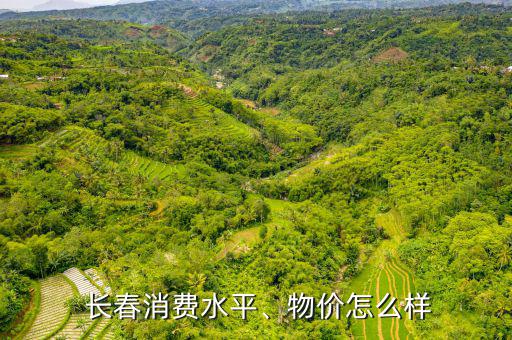  長春消費水平、物價怎么樣