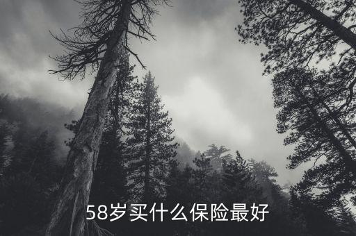 58歲女性做什么保險，58歲女性可以辦哪些保險啊