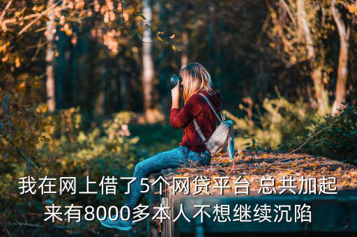 什么網(wǎng)貸能帶8000，今年二十我想貸款八千現(xiàn)有工作分是還款靠譜有好心人幫忙指點(diǎn)