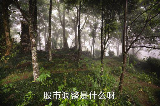 股市調(diào)整是什么意思，經(jīng)常有聽到股票調(diào)整是什么意思啊