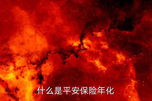 什么是年化保費(fèi)，什么是年初保險費(fèi)