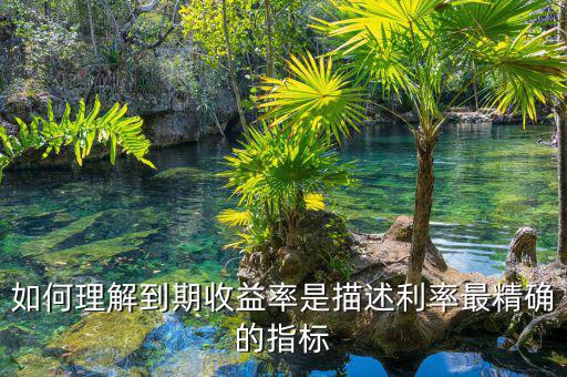 衡量利率最精確的指標通常是什么，什么是一個很好的債券利率風險衡量指標