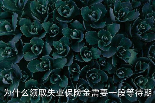 失業(yè)保險為什么應設等待期限，為什么領取失業(yè)保險金需要一段等待期
