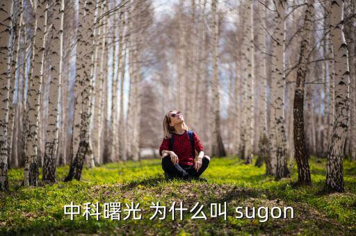 2014中科曙光什么時(shí)候上市的，股票為什么要選中科曙光