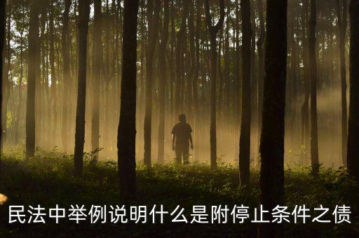 附停止條件的合同是什么意思，請(qǐng)教一下 怎么理解附條件和附期限合同啊 最好舉個(gè)例子 萬(wàn)分感謝  搜