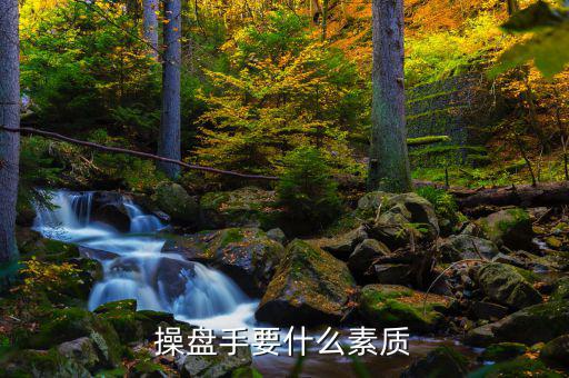 操盤手有什么要求，操盤手要什么素質