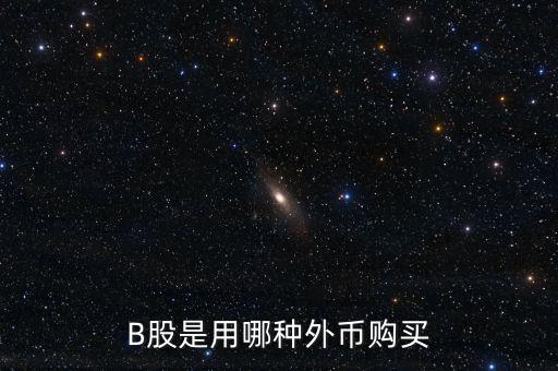 b股分紅支付什么貨幣，B股是用哪種外幣購買