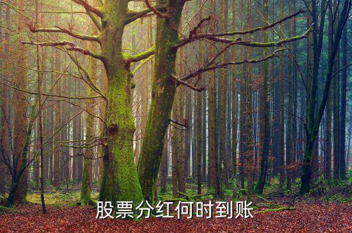 分紅什么時(shí)候到賬，分紅的金額什么時(shí)候會(huì)到賬戶