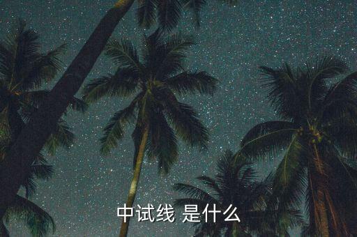 中試線是什么意思，中試線 是什么