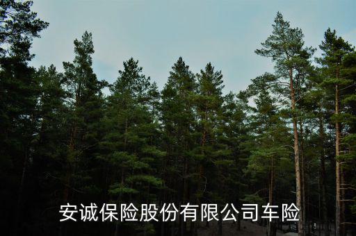  安誠保險(xiǎn)股份有限公司車險(xiǎn)