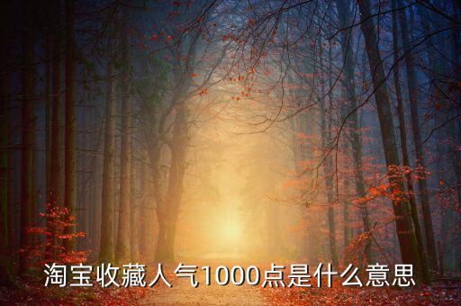1000點2000點什么意思，加拿大簽證中1000 2000什么意思