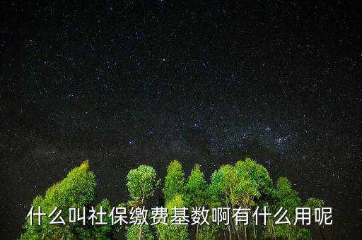 社保繳費基數(shù)有什么用，什么叫社保繳費基數(shù)啊有什么用呢