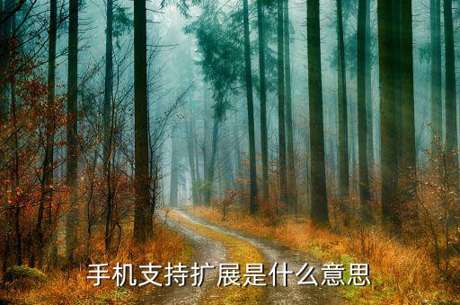 擴(kuò)展不足什么意思，看手機(jī)參數(shù)說擴(kuò)展內(nèi)存128G也有的說不可擴(kuò)展內(nèi)存什么意思