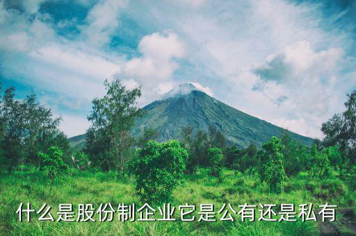 什么是單一鉬鐵生產(chǎn)企業(yè)，誰了解北京鉬都國際投資公司