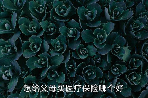 給父母買什么醫(yī)療保險(xiǎn)好，想給父母買醫(yī)療保險(xiǎn)哪個(gè)好