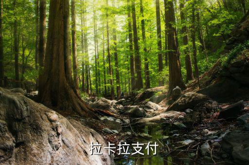 拉卡拉便利支付是什么，什么是銀聯(lián)拉卡啦支付