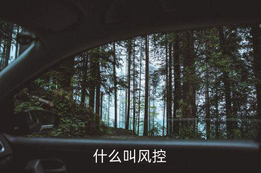 易到風控什么意思，什么叫風控