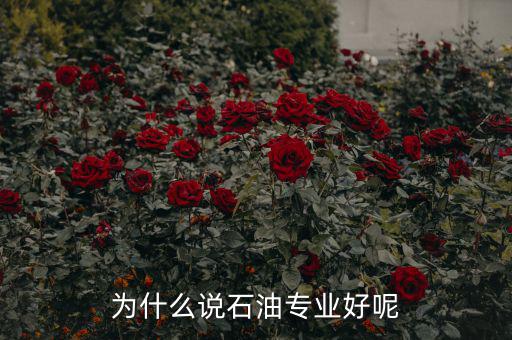 為什么說(shuō)石油專業(yè)好呢