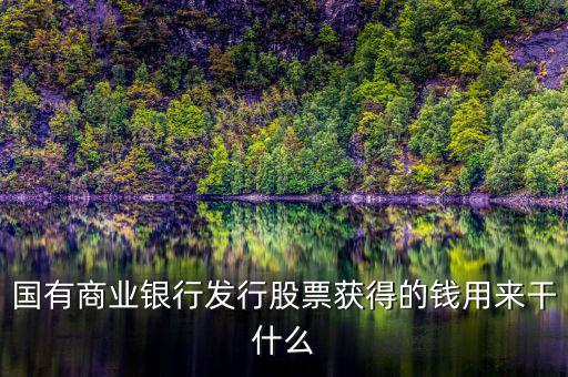 國(guó)有商業(yè)銀行發(fā)行股票獲得的錢(qián)用來(lái)干什么