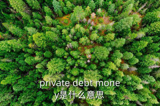私人配售什么意思，private debt placement是什么意思啊