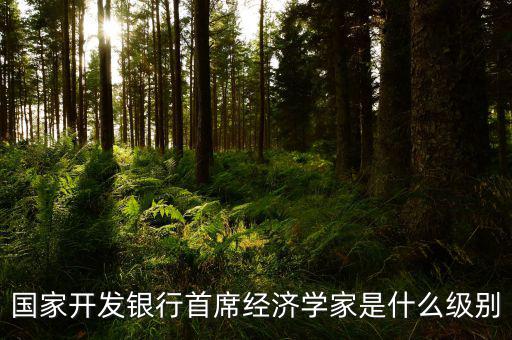 國家開發(fā)銀行首席經(jīng)濟(jì)學(xué)家是什么級(jí)別