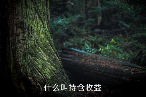 理財(cái)里的持倉收益是什么意思，基金 持倉收益7579 是什么意思啊 本人是新手