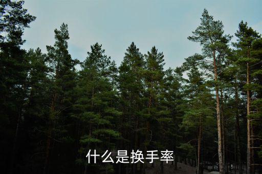換手率說明什么，什么是換手率