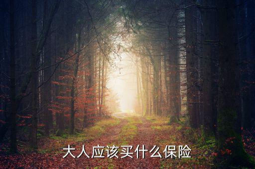 大人買什么保險(xiǎn)最好，大人保險(xiǎn)哪個(gè)比較合適